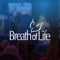 Breath of Life Ministries is dedicated to sharing the healing Gospel of Jesus Christ in the context of the Three Angels’ Messages of Revelation 14