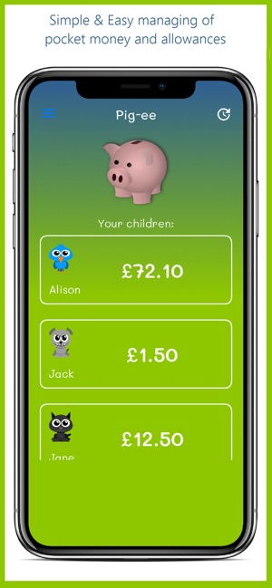 Piggy - The Pocket Money Box