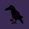 “The Raven”, by Edgar Allan Poe, Confounded