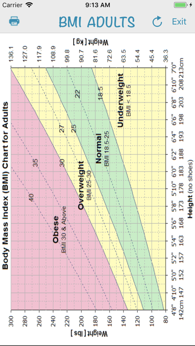 BMI (AIMapps) screenshot 2