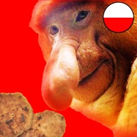 Janusz Kliker: Odgrzany Kotlet pour PC