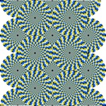 Optical Illusions Catalog