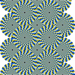 Optical Illusions Catalog