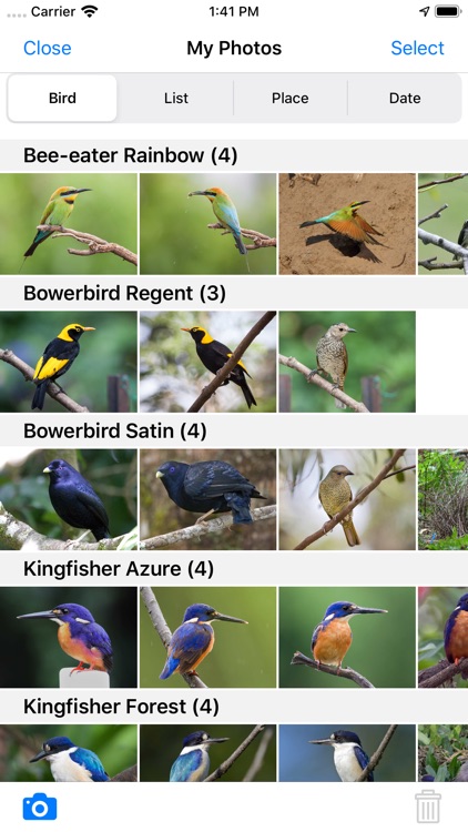 Pizzey and Knight Birds of Aus screenshot-9