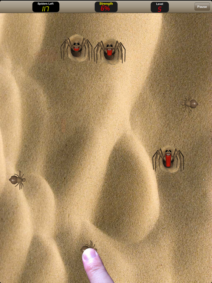 Giant Desert Spiders