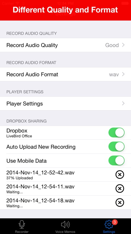 Voice Recorder Lite: Record HD screenshot-4