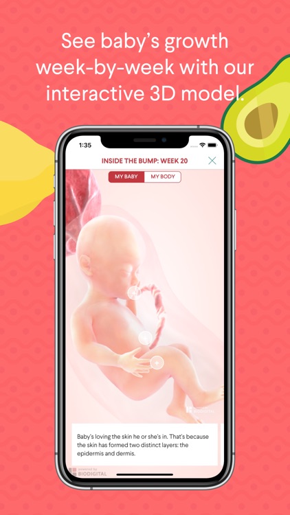 The Bump - Pregnancy Tracker