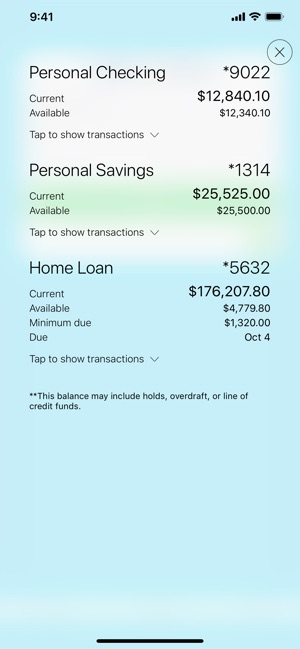 MoneyView by Park View FCU