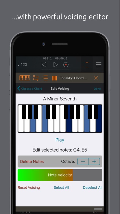 Tonality - Music Theory screenshot-3