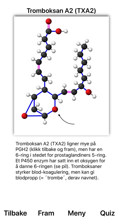 Fettsyrer screenshot-4