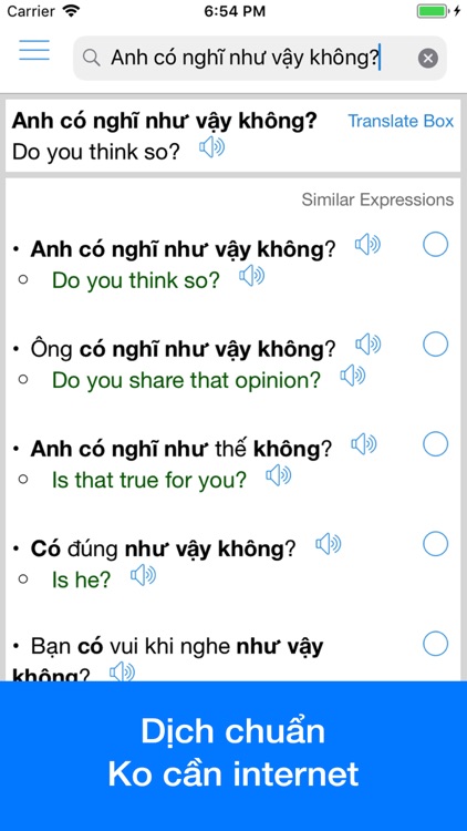Vietnamese Translator Offline