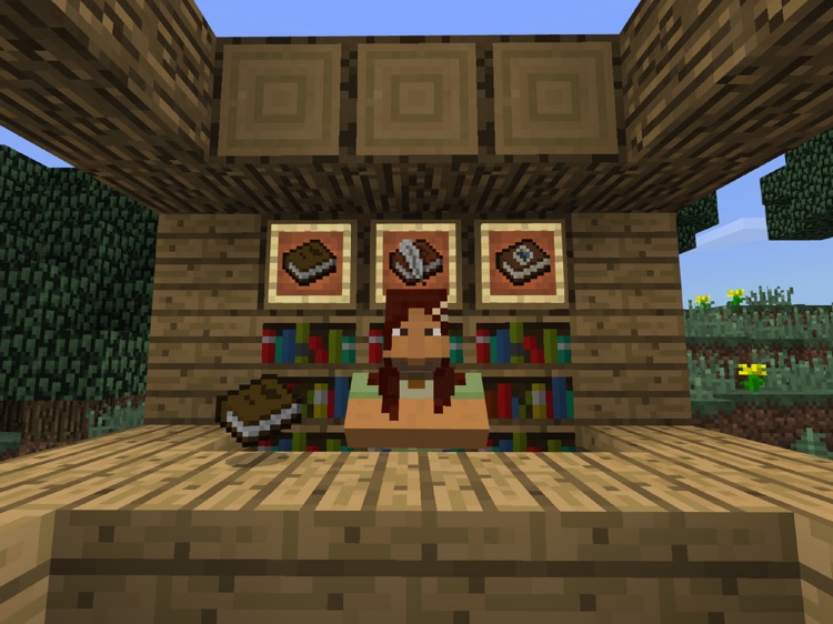 Minecraft: Education Edition screenshot-4