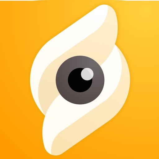 Snapics Photo Editor - Fun Art free software for iPhone and iPad