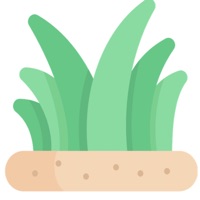 青青草日常-护理你的生活细节 pour PC