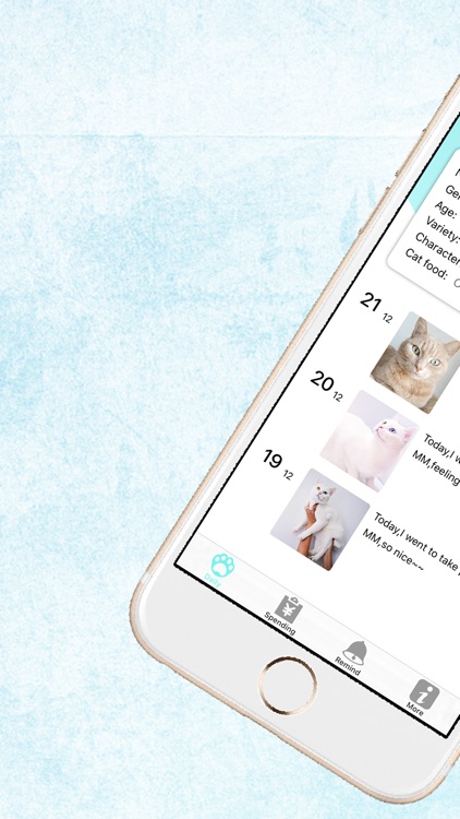 Cat Master-The meticulous care