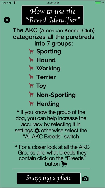 Dog Breed Identifier screenshot-6