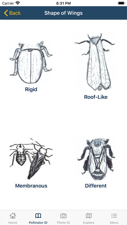 PolliNation ID screenshot-3