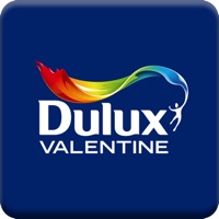 Dulux Valentine Visualizer ne fonctionne pas? problème ou bug?