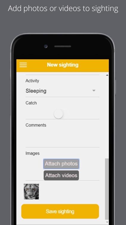 Lion Sightings screenshot-3