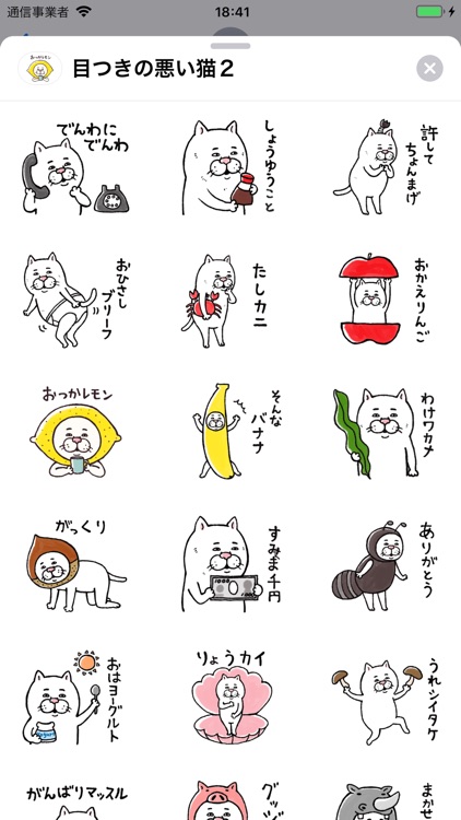 Pretty Cat 2 By Keiko Ikeya Pretty Cat 2 By Keiko Ikeya