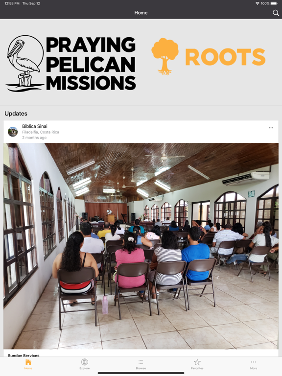 Screenshot #4 pour PPM Roots
