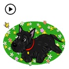 Top 32 Stickers Apps Like Animated Adorable Scottie Dog - Best Alternatives