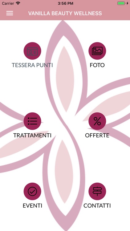 Vanilla Beauty Wellness