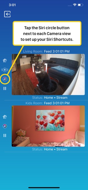 Watch Cam for Nest Cam(圖5)-速報App