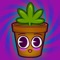 Meet Lil Pothead - your average trash-talking, weed-growing, dope-smoking, pizza-eating virtual pet