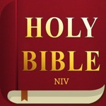 New International Version Pro