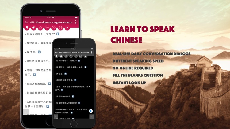 Chinese Conversation Dialogs