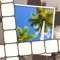 Enjoy a new crossword game where every clue is a unique picture