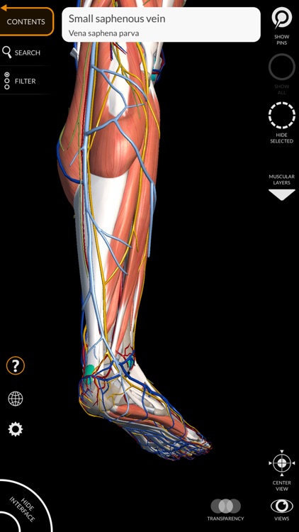 Anatomy 3D Atlas screenshot-9