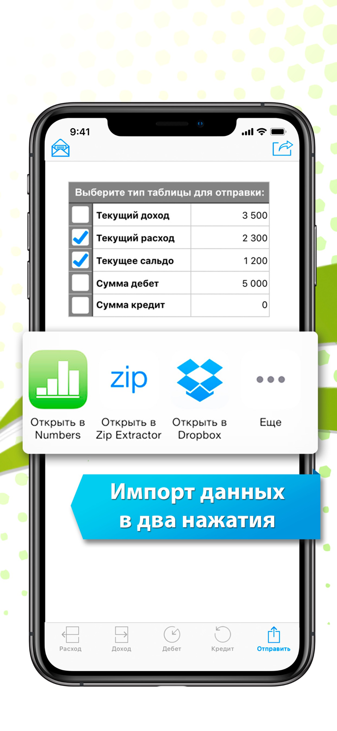 Финансовый Учет Про