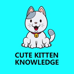 Cute Kitten Knowledge