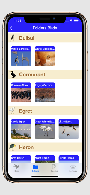 Birds of Jordan H(圖4)-速報App