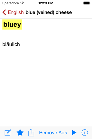 Dictionary German English Ger - náhled