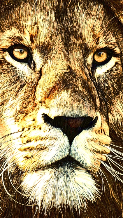 BeCasso: Photo to Painting App screenshot-6