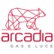 L'app ufficiale di Arcadia gestisce la tua utenza di Energia e/o Gas