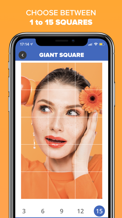 Giant Square PRO - Grids+ Giant Square PRO - Grids+