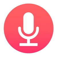 iRecorder Pro - SimpleTouch apk