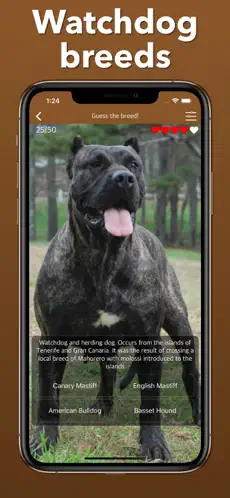 Captura 8 Razas De Perros: Juegos Cuidar iphone