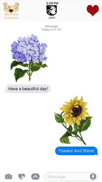 Delightful Flowers