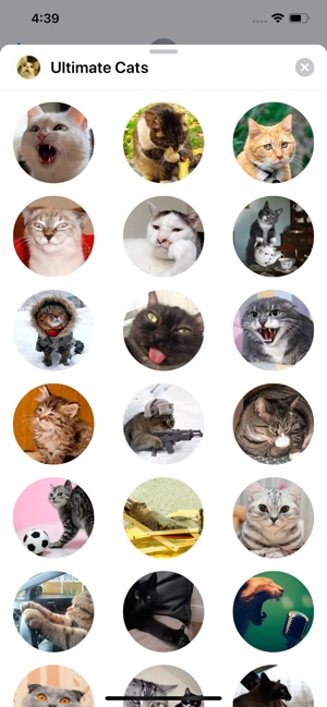 Ultimate Cats Sticker Pack(圖8)-速報App