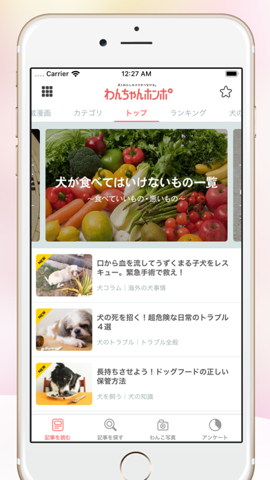 犬のニュースや飼い方の情報をまとめ読み わんちゃんホンポ By P Nest Japan Inc Ios アメリカ合衆国 Searchman アプリマーケットデータ