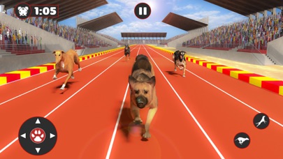 Greyhound Dog Racing Derby screenshot 3