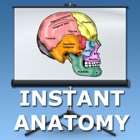 Top 42 Medical Apps Like Anatomy Lectures Head and Neck - Best Alternatives