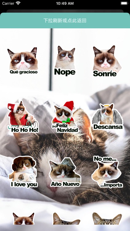 凶八啊欧猫