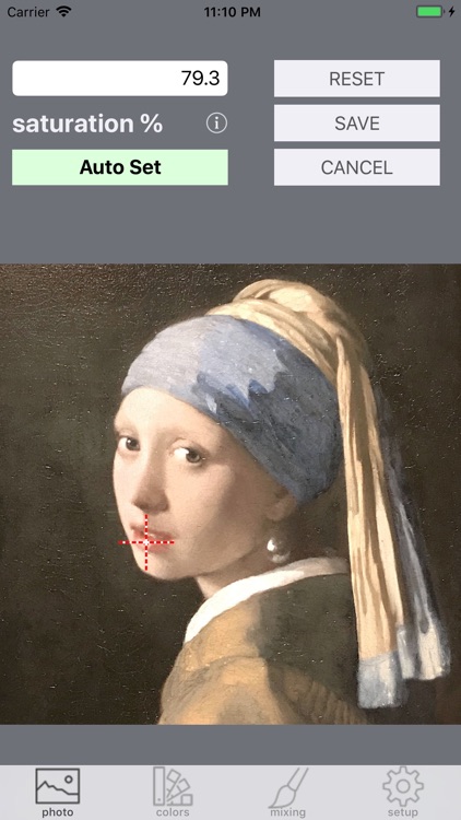 Real Paint mixing tools screenshot-4