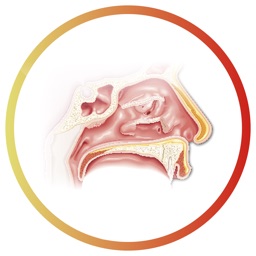 Inf. Vías Respiratorias Altas